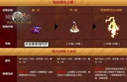 DNF宠物排行榜与宠物大全解析：热门宠物及种类详解