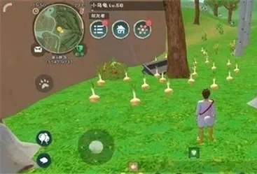 《创造与魔法》高效红豆采集攻略：牧野平原路径+分布技巧