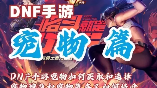 dnf手游宠物打工-dnf宠物打工盈利法