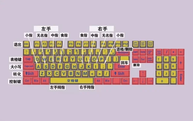 游戏键盘手型排行榜-游戏键盘手型全解析