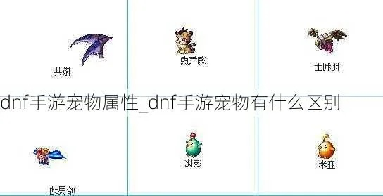dnf手游新出宠物属性-dnf手游新宠物属性解析