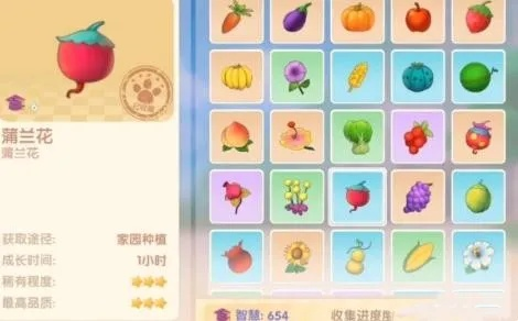 丝尔特喜欢什么赠礼-丝尔特礼物清单推荐