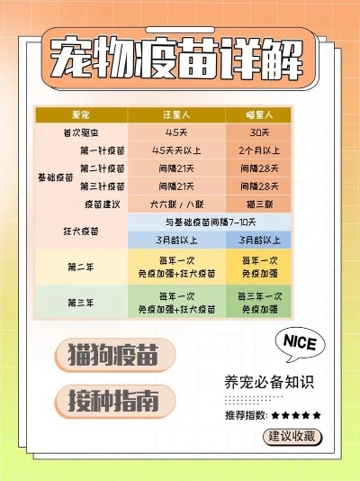 宠物对战腐肠怎么打-腐肠应对策略指南