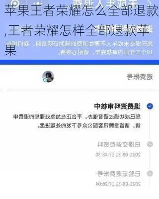 如何在王者荣耀退款-王者荣耀退款指南