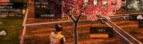 《明日之后》获取樱花的终极指南：耐心种植，环境美化，快乐加倍！