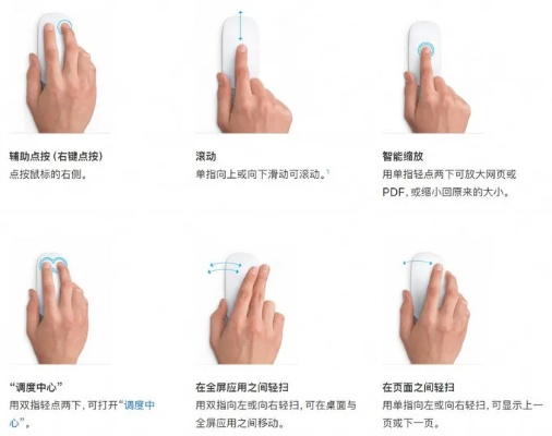 鼠标点击器哪个好用,实测对比告诉你答案