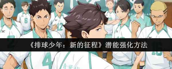 《排球少年新的征程》潜能强化全攻略