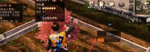 《明日之后》获取樱花的终极指南：耐心种植，环境美化，快乐加倍！