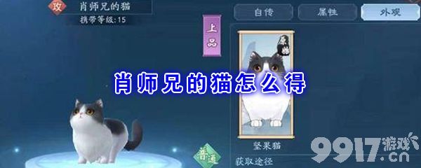 《新笑傲江湖》肖师兄的猫获取攻略：简单步骤助你轻松拥有