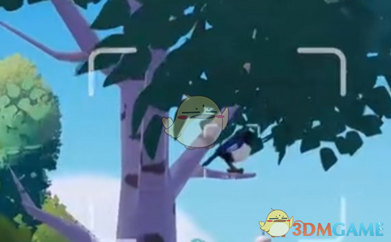 《心动小镇新春季》第3周4只鸟位置攻略：详细位置分享与拍照技巧