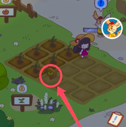 《彩虹棉花糖小店》购买8块田地任务攻略：一步步轻松完成