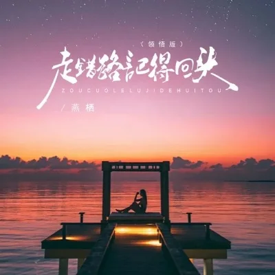 走过路过没遇过回头转头还是错是什么歌-网络歌曲经典回忆