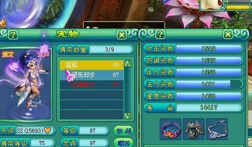 神武碧波仙子5技能隐攻攻略,成品打造全解析