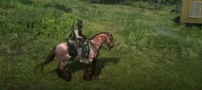 荒野大镖客2阿尔登马在哪阿尔登马位置分享-荒野大镖客2阿尔登马攻略