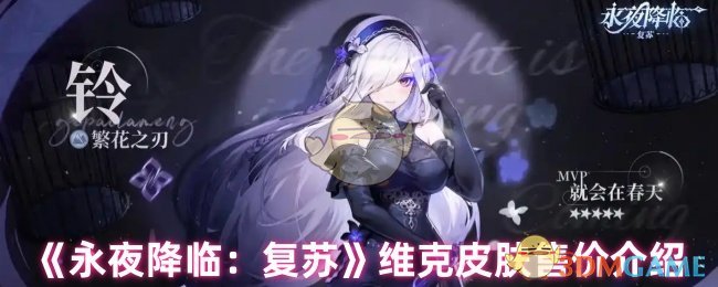 《永夜降临：复苏》维克皮肤怎么买最划算