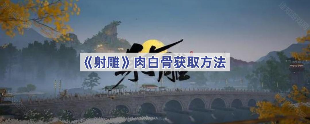 射雕手游肉白骨获取方法详解：徒单对话与切磋攻略