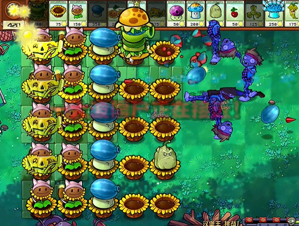 《植物大战僵尸杂交版》汉堡王1通关心得与核心策略解析