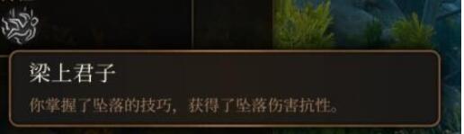 博德之门3游荡者子职业怎么选最爽