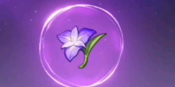 原神守护之心套装刷取全攻略：位置、属性及适用角色详解