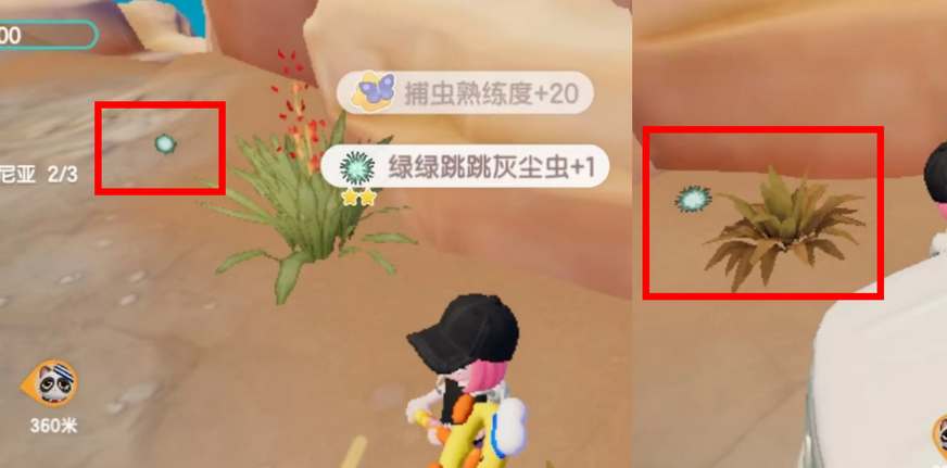 心动小镇奇灵季灰尘虫捕捉全攻略