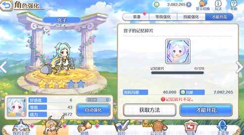 布丁宫子的星级培养策略：4星过渡或5星强化，依据队伍需求灵活选择