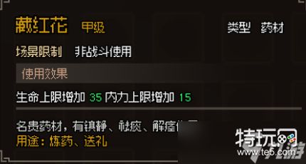 大侠立志传：如何通过甲级药材图鉴提升战力