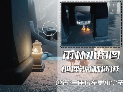 光遇雨林冥想点全图鉴：详细位置与地图攻略