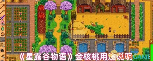 星露谷物语金核桃的多种用途与重要性