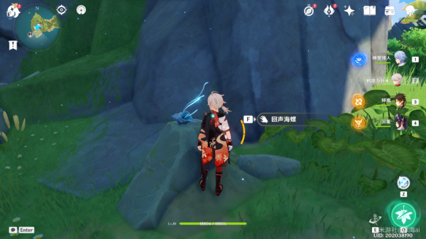 原神2.8版本幻境海螺全位置攻略