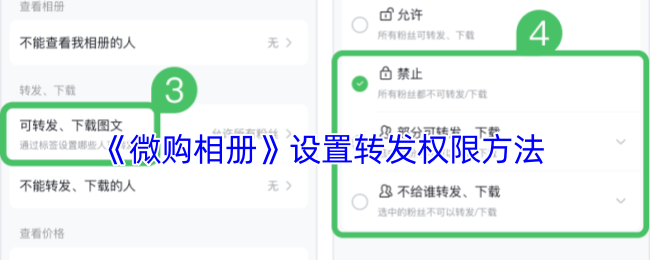 微购相册如何设置转发权限：详细步骤与注意事项