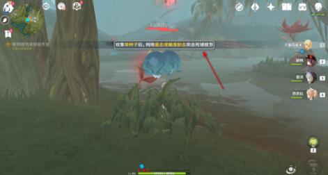 原神须弥魔神任务第三章第一幕第三小任务攻略：柯莱之症与死域处理