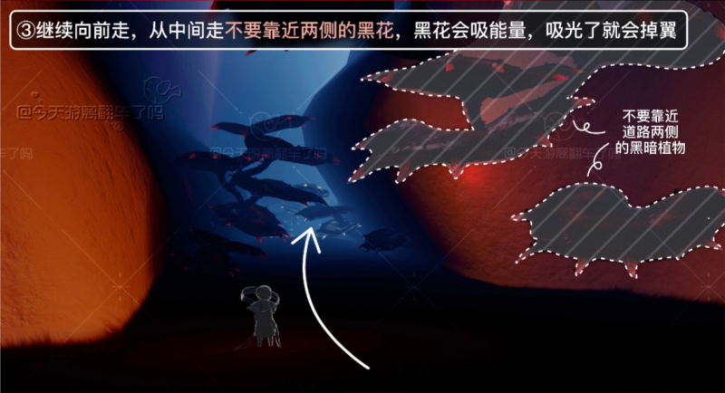 光遇九色鹿季全攻略：任务流程详解与注意事项