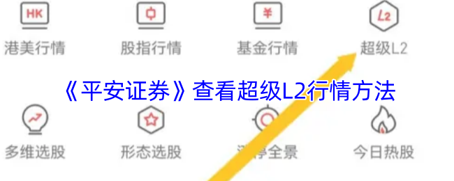 平安证券APP超级L2行情查看与解读指南