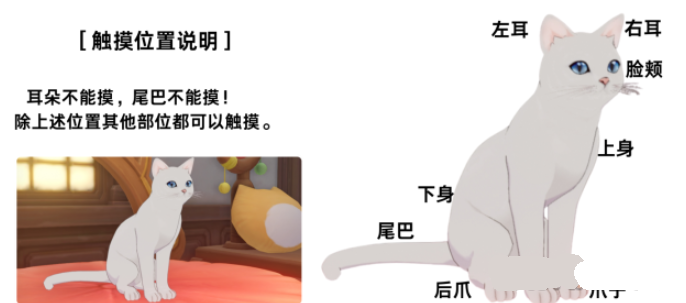 原神兔叽小屋怎么玩