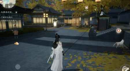 射雕手游小动物分布全攻略