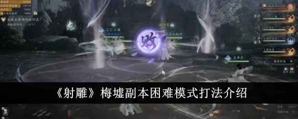 射雕梅墟副本困难模式打法全解析：通关技巧与BOSS机制详解