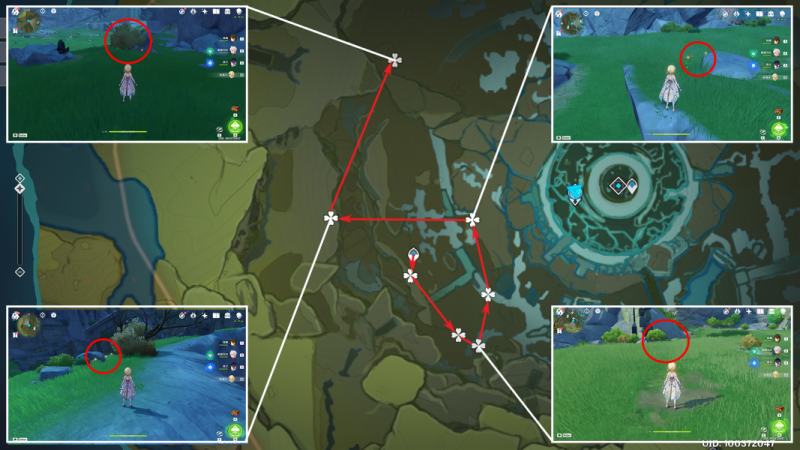原神风车菊采集全攻略：最佳路线与分布图解析