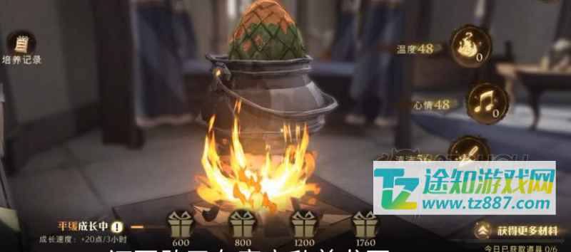 哈利波特魔法觉醒龙蛋孵化全攻略：从准备到奖励，一步步详解