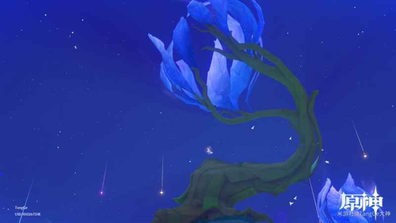 原神赐福森林欢声之羽全收集攻略：希穆兰卡地图45飞羽位置详解