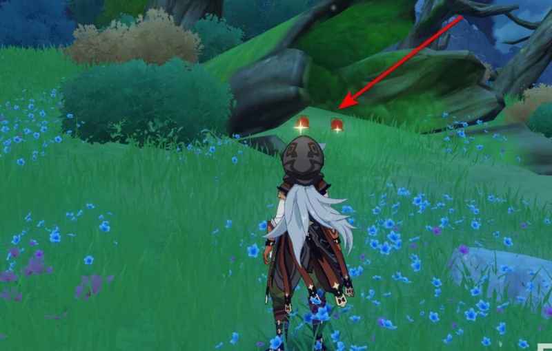 原神红色钩钩果怎么找：详细位置指南