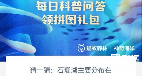 揭秘：石珊瑚——海洋生态的神奇建筑师