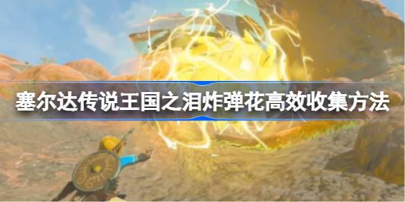 塞尔达传说王国之泪高效收集炸弹花的方法