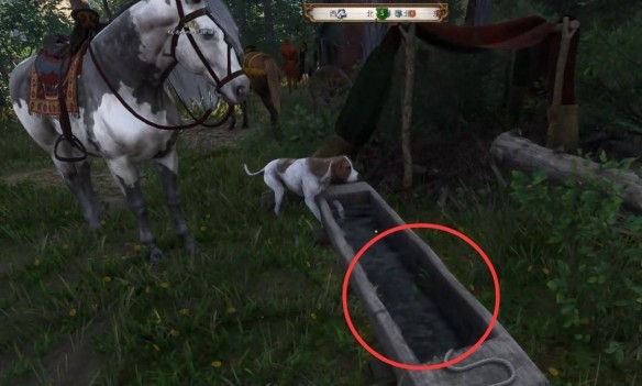 天国拯救2爱自由与荣耀任务全流程详解:从接受任务到最终胜利