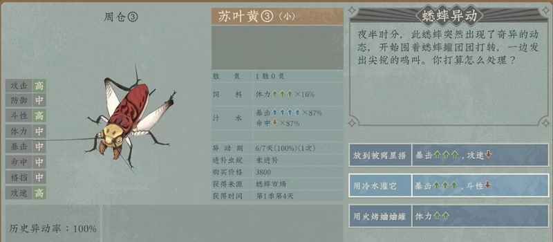 培养沉默的蟋蟀八败的方法与技巧