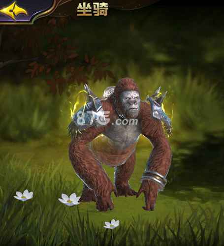 太极熊猫3猎龙铁拳金刚：暴力群战利器，猛人之选详解