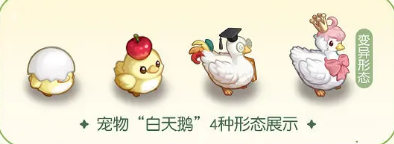 奥比岛手游海神之梦：孵蛋养成攻略，如何高效孵化宠物蛋