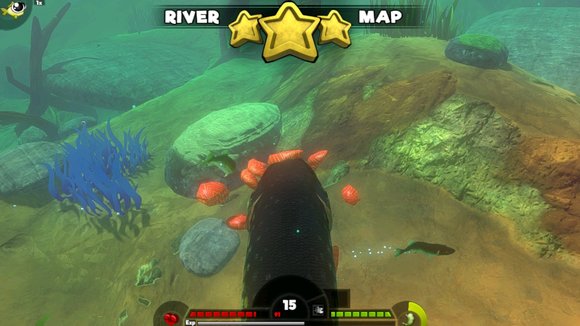 《海底大猎杀》生存模式全面攻略：新手必看生存技巧与鱼类详细指南