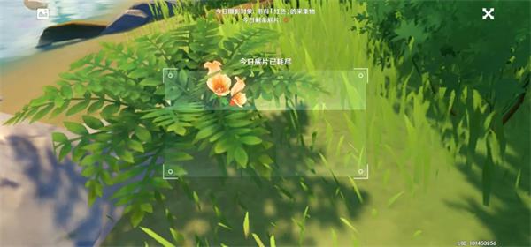 原神福至五彩红色采集物全攻略