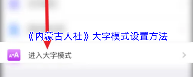 内蒙古人社APP大字模式使用全攻略