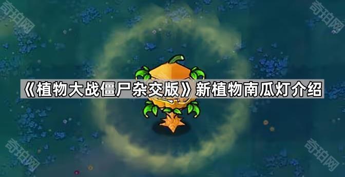 《植物大战僵尸杂交版》新植物南瓜灯评测：功能强大，使用需谨慎